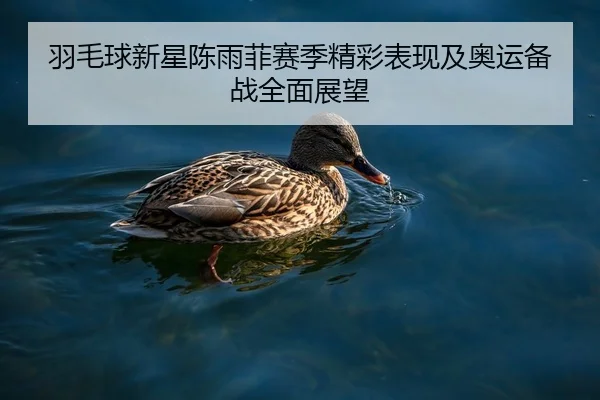 羽毛球新星陈雨菲赛季精彩表现及奥运备战全面展望 | Betway